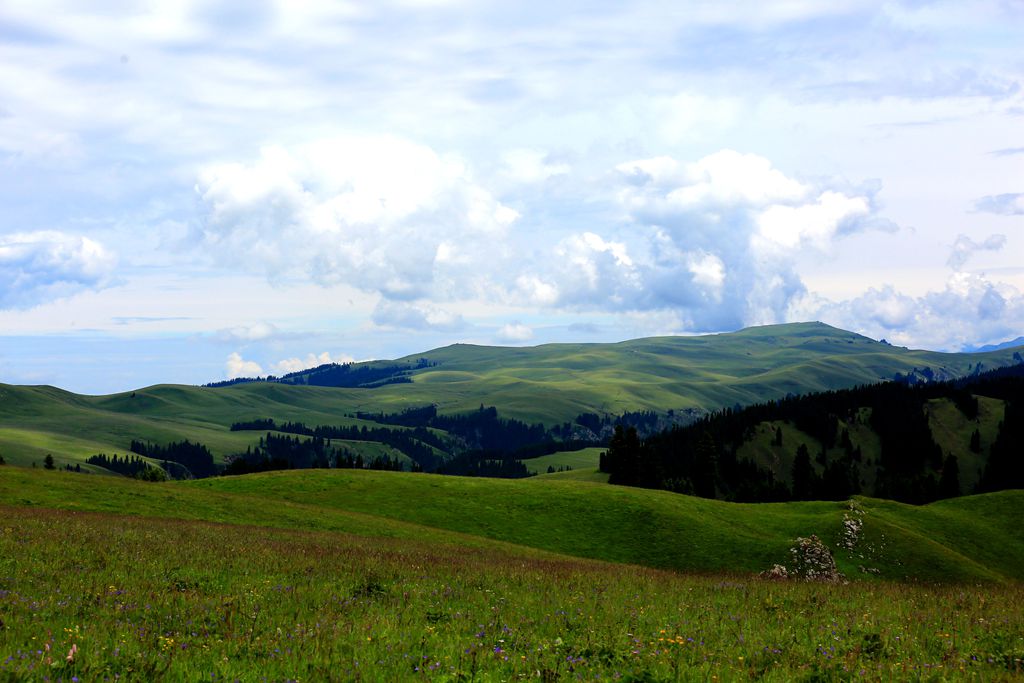 083a4243.jpg