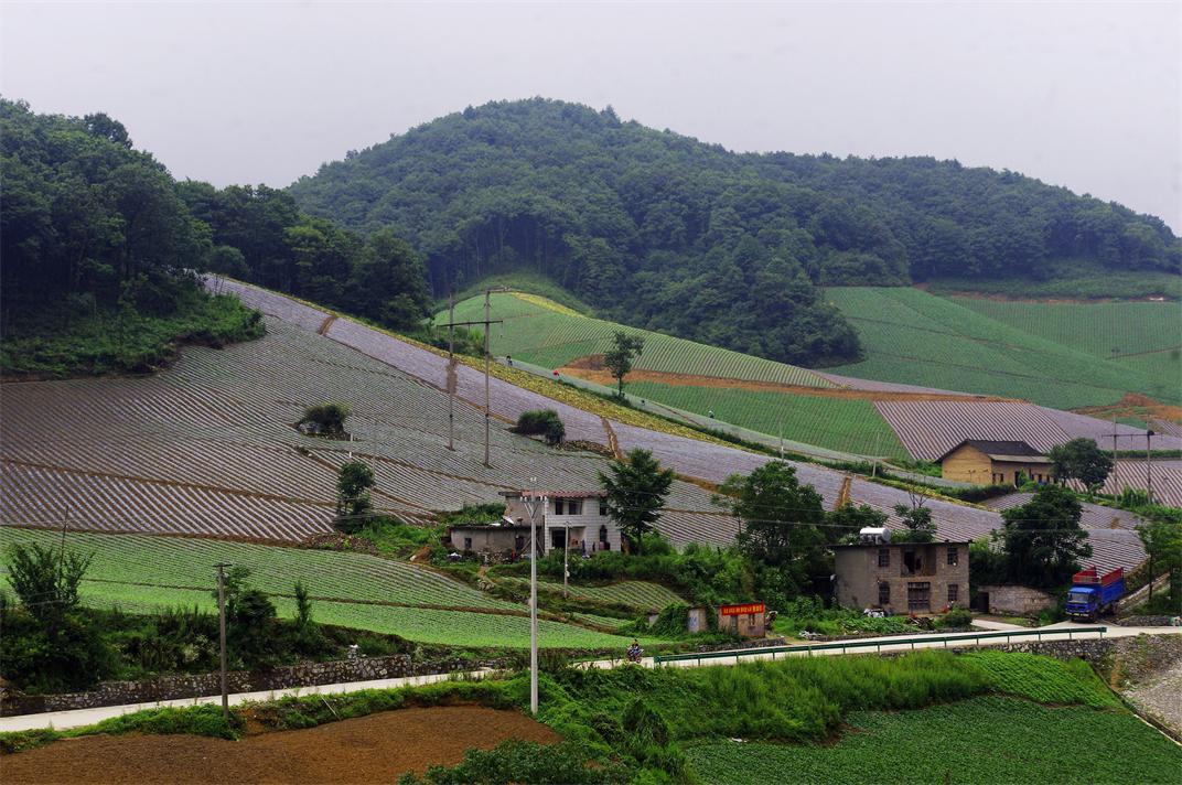 _igp7296.jpg