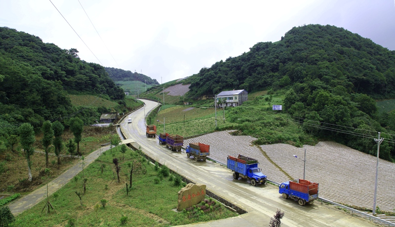_mg_9890.jpg