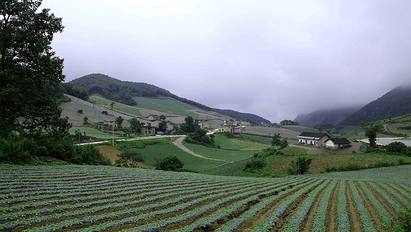 _mg_9909.jpg