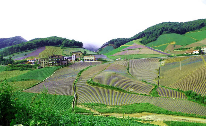 _mg_9952.jpg