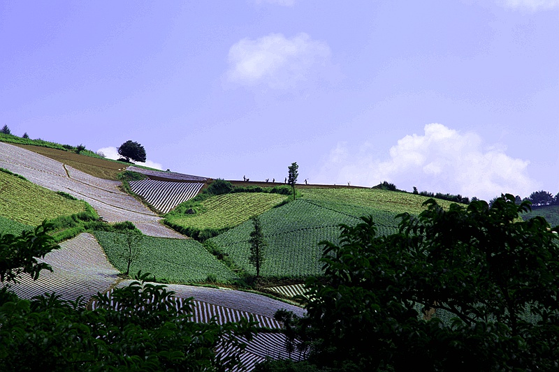 _mg_0215.jpg