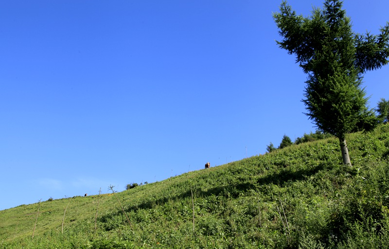 _mg_0178.jpg