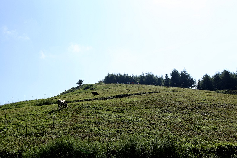 _mg_0185.jpg