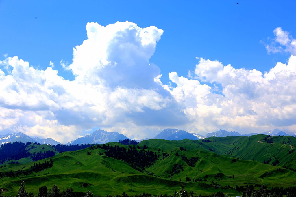 083a0292.jpg