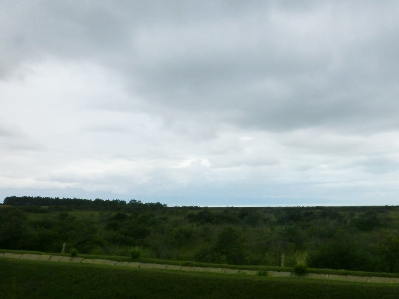 p1240942.jpg