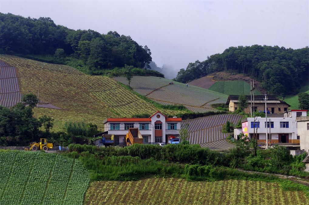 _igp7364.jpg