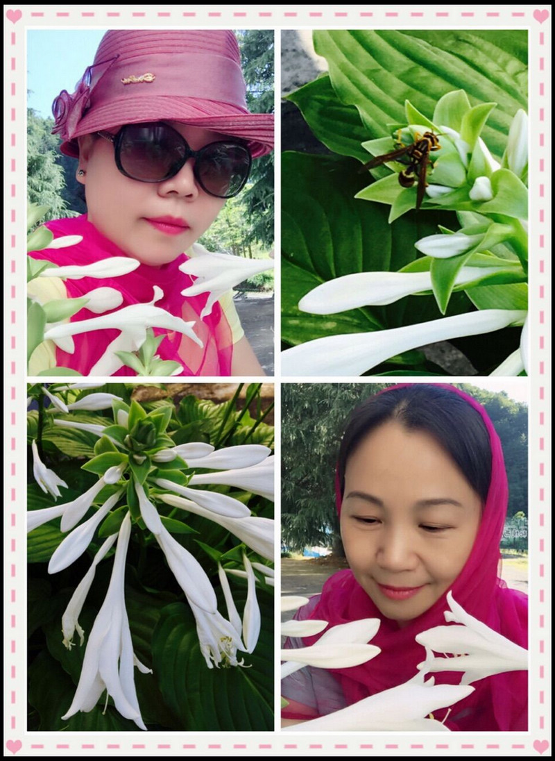 qqͼƬ20160803114334.jpg