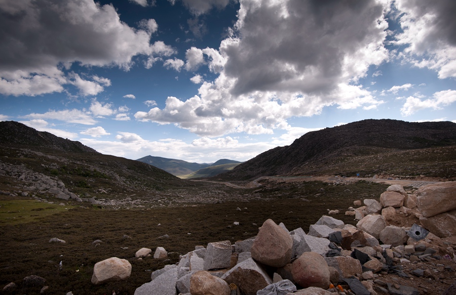 _dsc6650.jpg