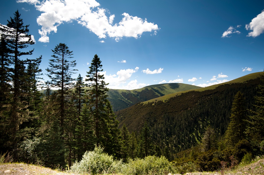 _dsc7303.jpg