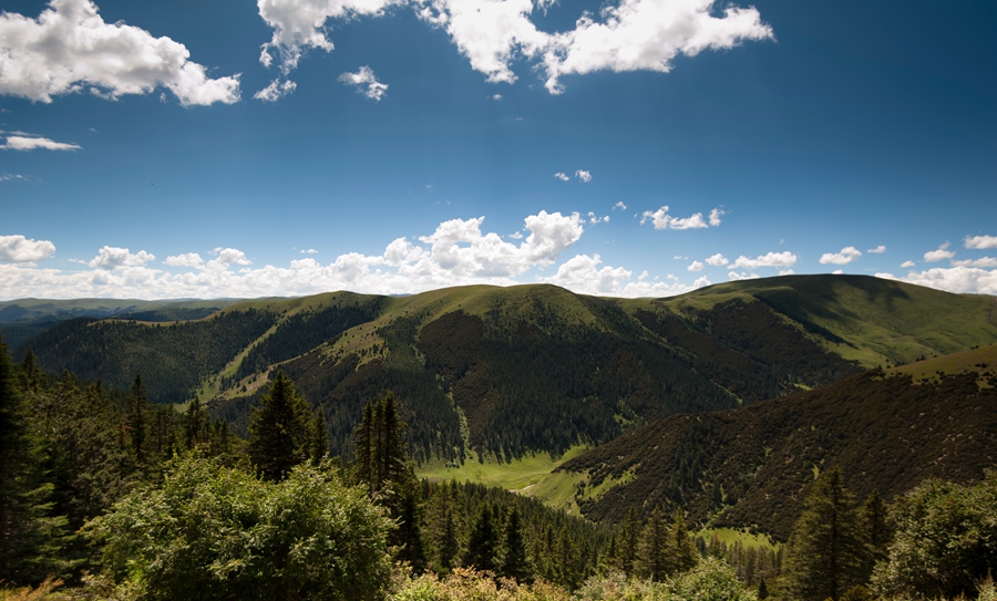 _dsc7306.jpg