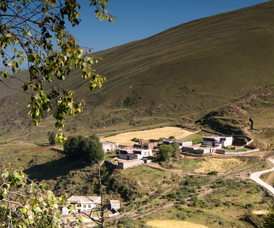 _dsc7386.jpg