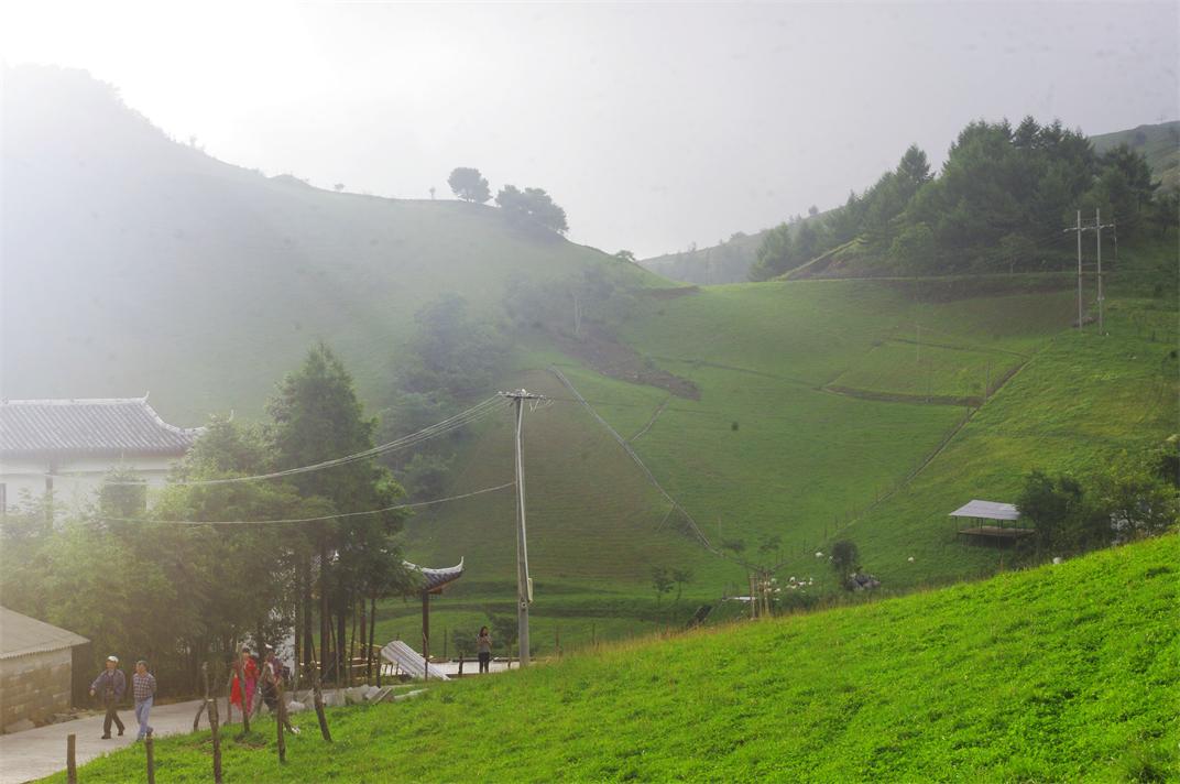 _igp7481.jpg