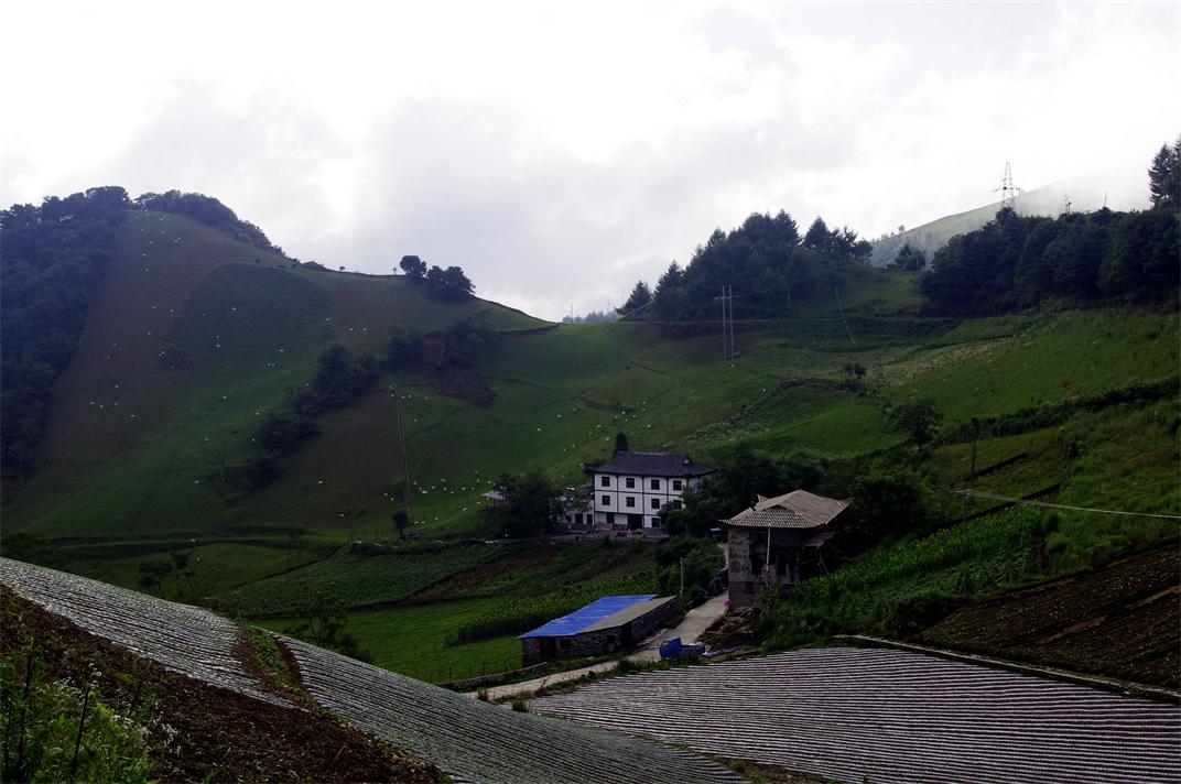 _igp7384.jpg