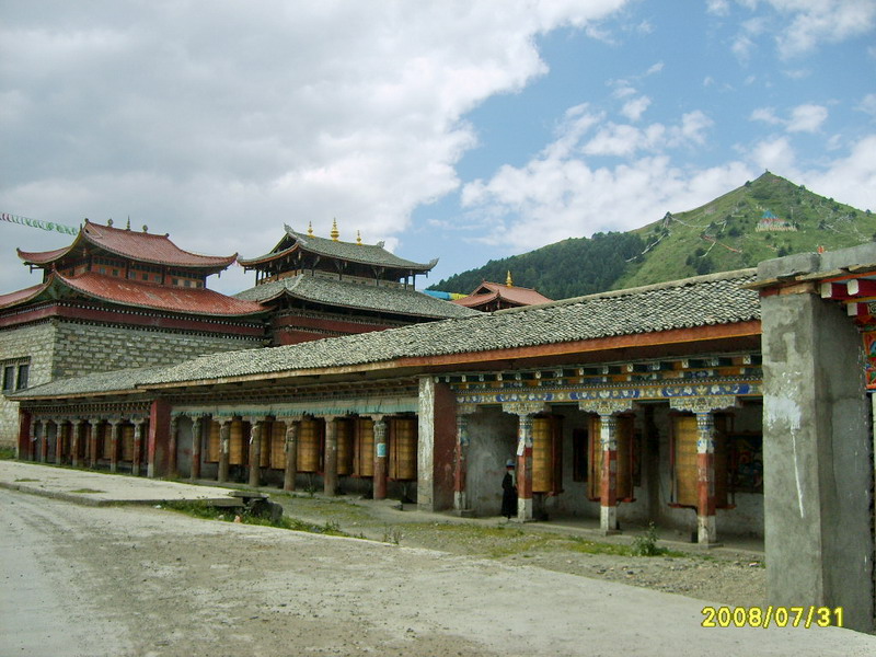 s5003178.jpg