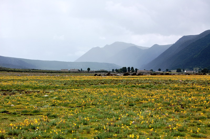 dsc_1415.jpg