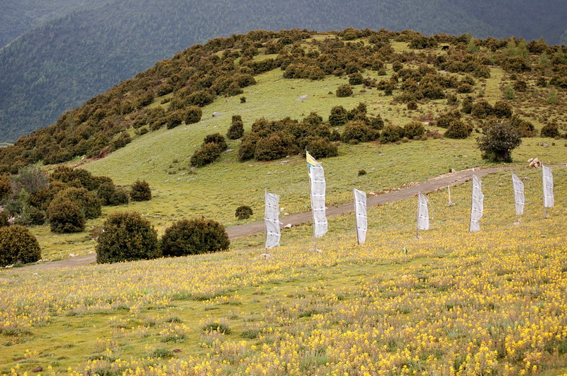 dsc_1425.jpg