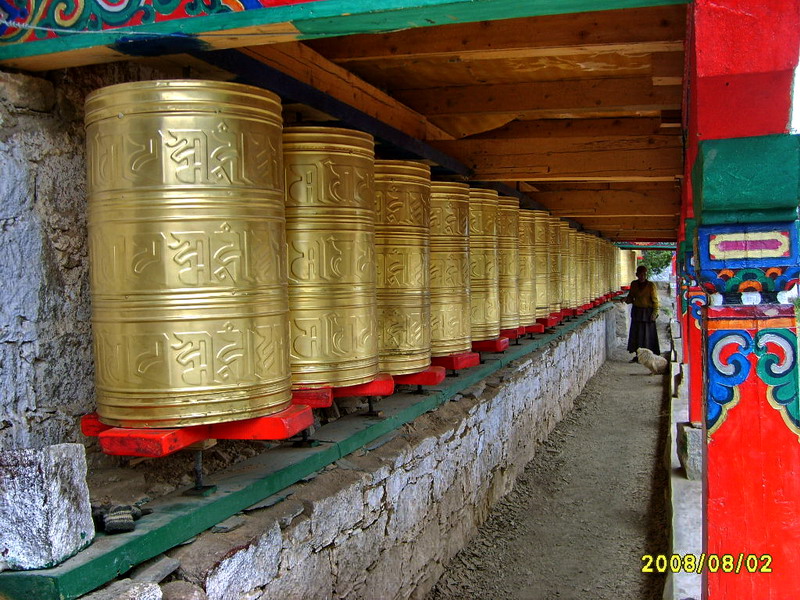 s5003253.jpg