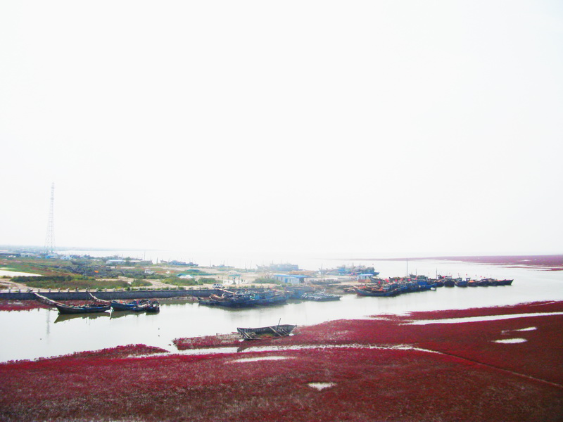 dscf0137.jpg