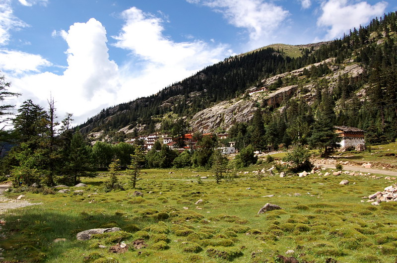 dsc_1442.jpg
