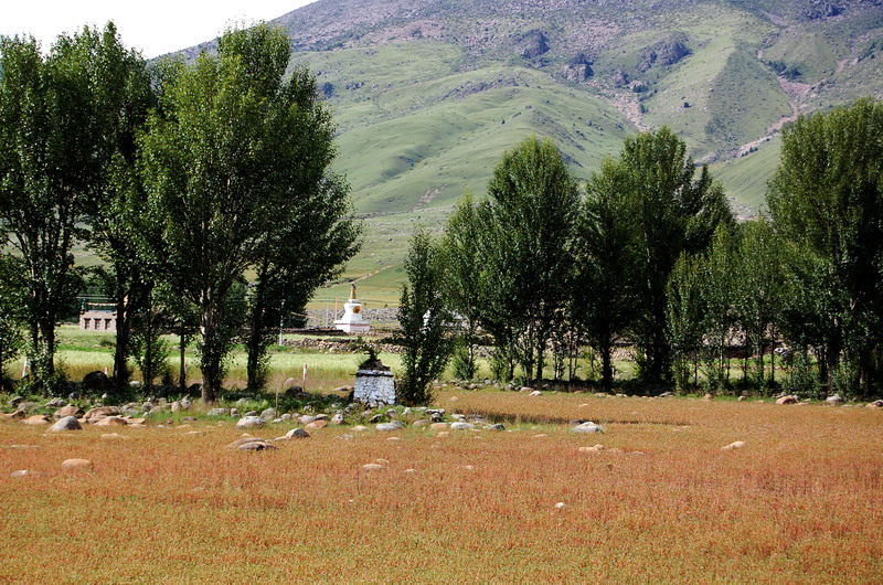 dsc_1448.jpg