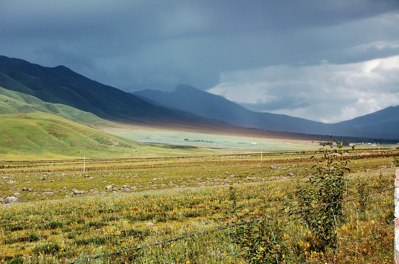dsc_1452.jpg