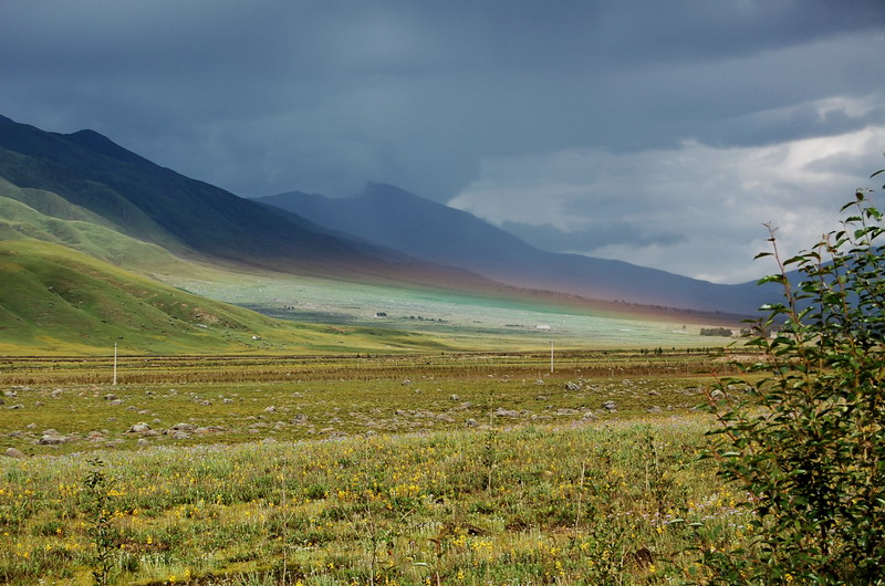 dsc_1460.jpg