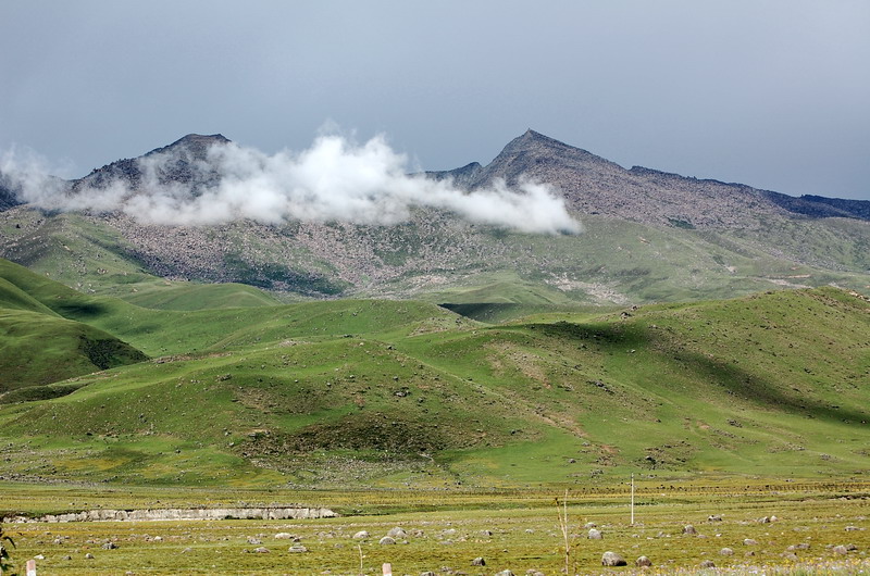 dsc_1470.jpg