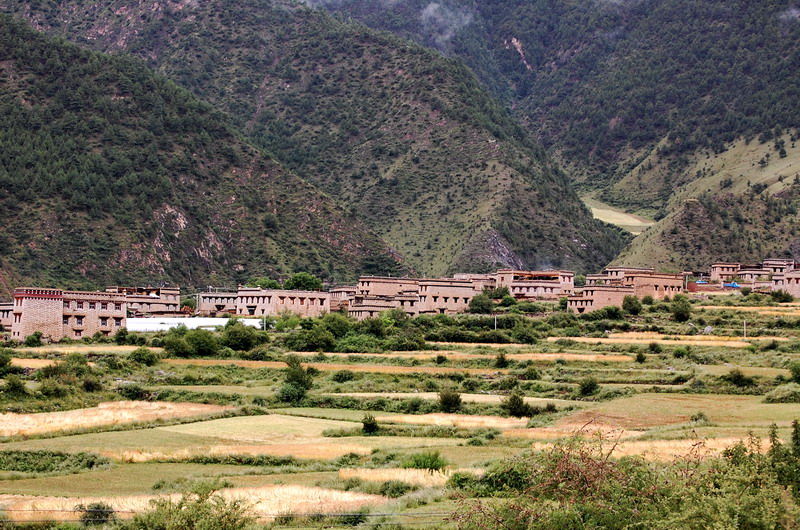 dsc_1502.jpg