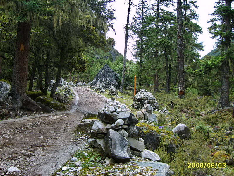 s5003339.jpg
