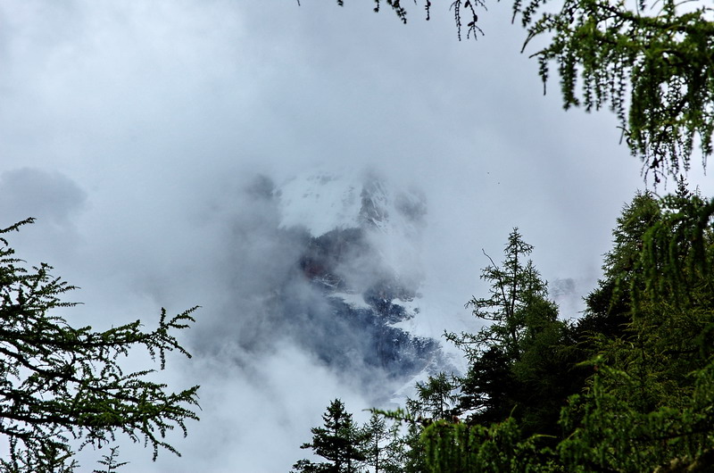 dsc_1511.jpg