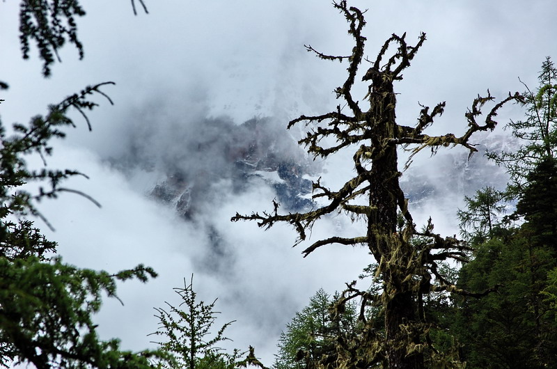 dsc_1514.jpg