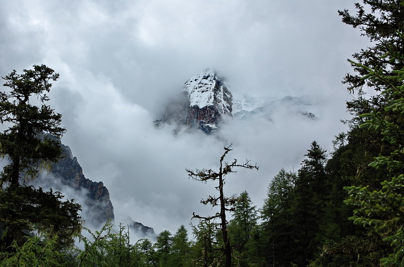 dsc_1521.jpg