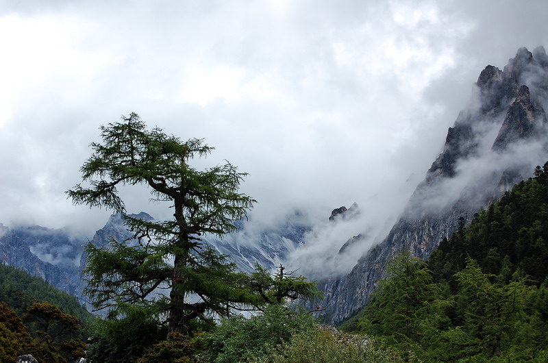 dsc_1523.jpg