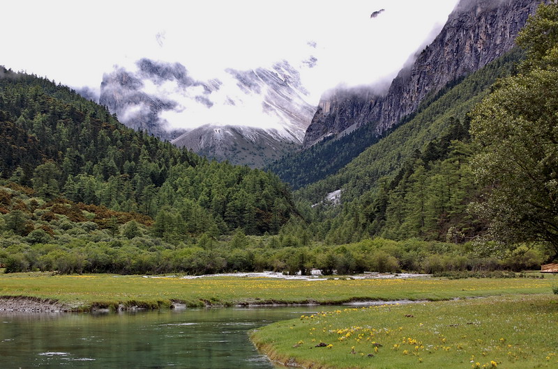 dsc_1535.jpg
