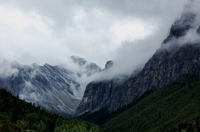 dsc_1548.jpg