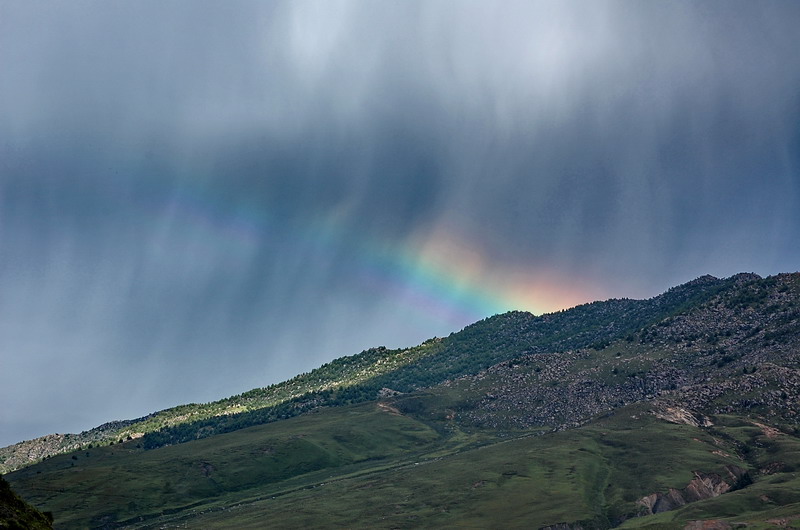 dsc_1496.jpg