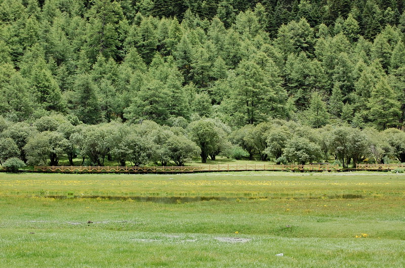dsc_1549.jpg