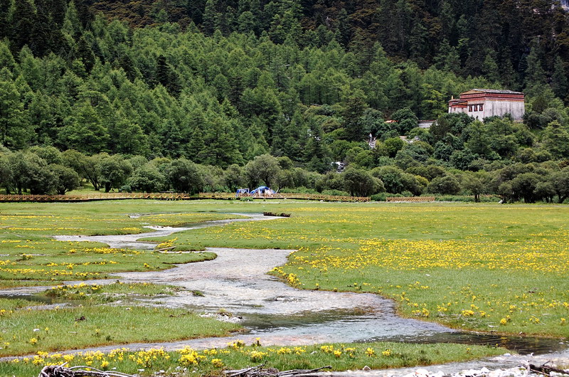 dsc_1562.jpg