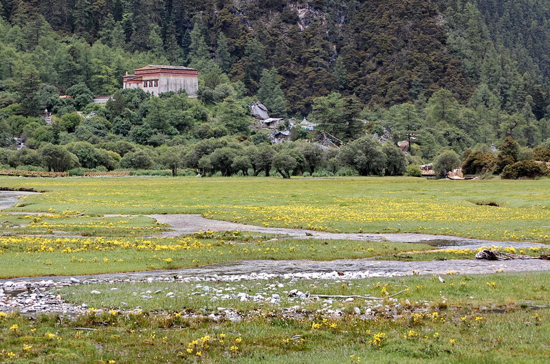 dsc_1563.jpg