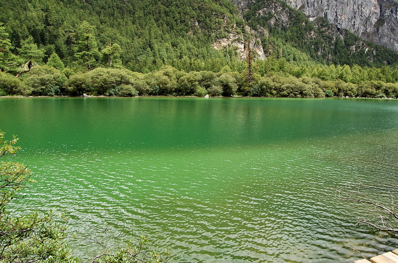 dsc_1621.jpg