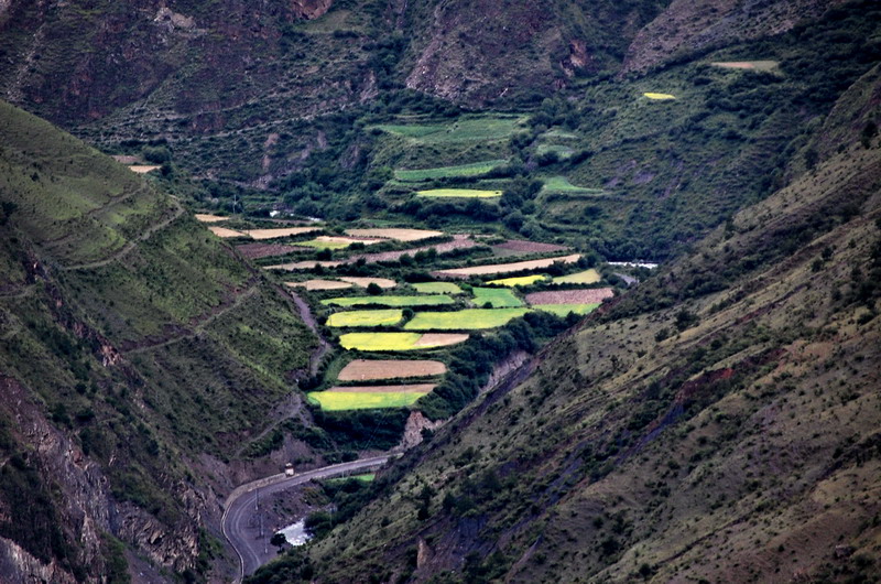 dsc_1639.jpg