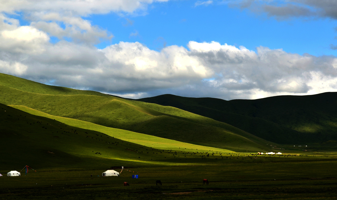 dsc_7818.jpg