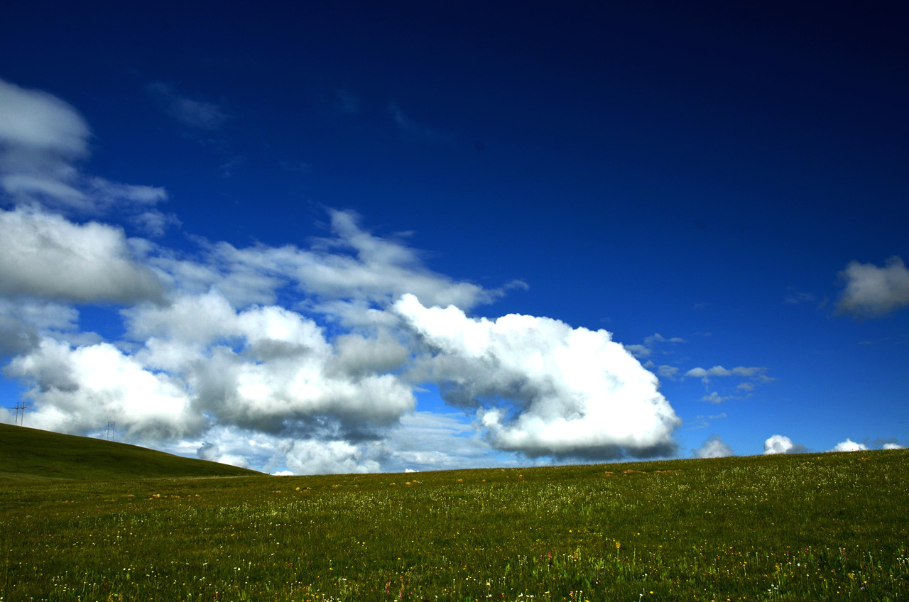 dsc_7946.jpg