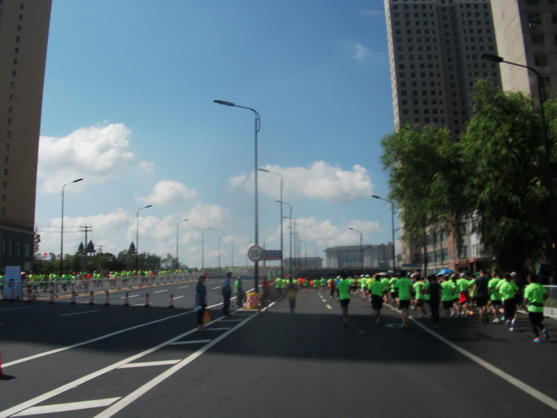 dscf0113.jpg