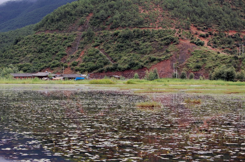 dsc_1699.jpg