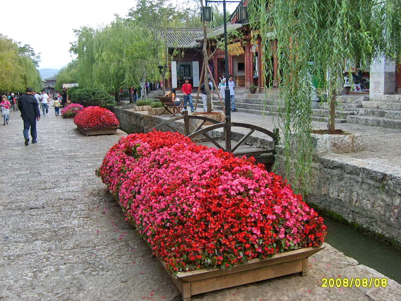 s5003669.jpg