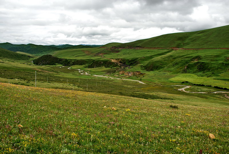 dsc_0063.jpg