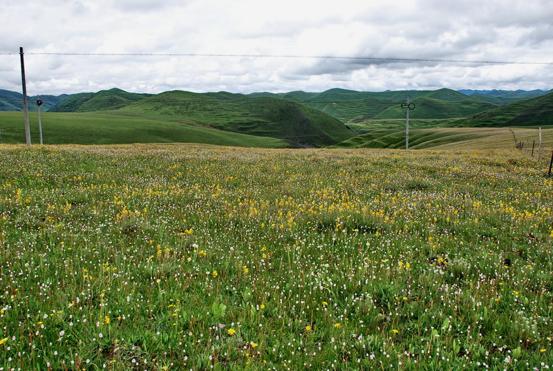 dsc_0072.jpg