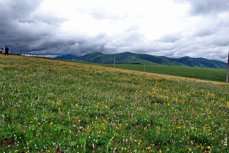 dsc_0071.jpg